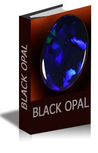 jungles of indonesia