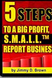 5 Steps to a Big-Profit S.M.A.L.L. Report Business