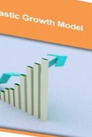 The Stochastic Growth Model cover