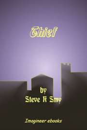 Thief cover