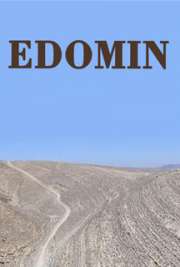 EDOMIN cover