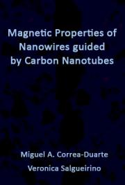 Magnetic Properties of Nanowires Guided by Carbon Nanotubes