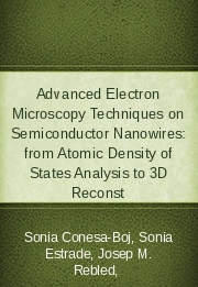 Advanced Electron Microscopy Techniques on Semiconductor Nanowires: from Atomic Density of States Analysis to 3D Reconst