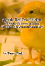 Meet the Real Deal Chicken: No Process, No Steroids or Cloning