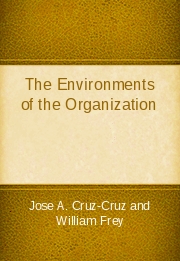 The Environments of the Organization