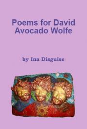 Poems for David Avocado Wolfe