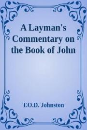 Layman's Commentary on John