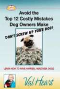 Don't Screw Up Your Dog - Avoid the Top 12 Mistakes Dog Parent's Make
