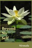 Beyond No Self