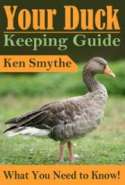 Your Duck Keeping Guide