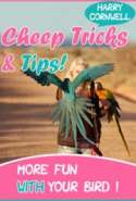 Cheep Tricks & Tips!