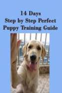 14 Days Step by Step Perfect Puppy Training Guide