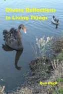 Divine Reflections in Living Things