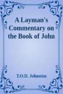 Layman's Commentary on John