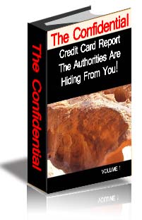 The Confidential Credit Card Report The Authorities Are Hiding From You!--Volume I cover