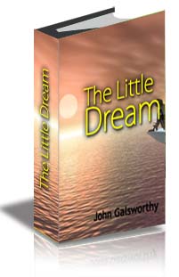 The Little Dream cover