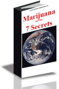 Marijuana and the 7 Secrets cover