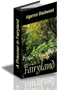 A Prisoner in Fairyland cover