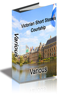 Victorian Short Stories: Successful Marriages cover
