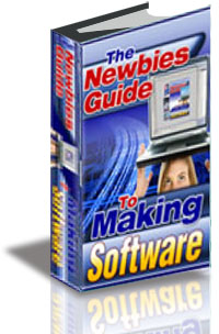 Newbies Guide To Making Software cover