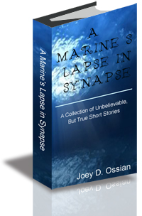 A Marine’s Lapse in Synapse cover