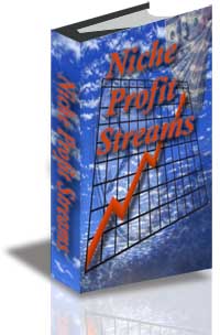 Niche Profit Streams cover