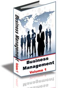 BMA's Business Management Articles, Vol I cover