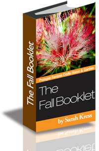 The Fall Booklet cover