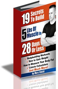 19 Secrets to Build Huge Muscles cover