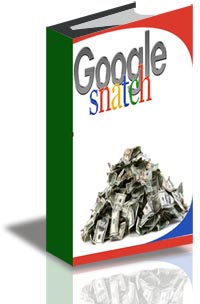 Google Snatch Report cover