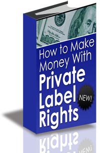 How to Make Money with Private Label Rights cover