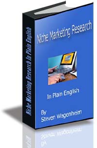 Niche Marketing Research In Plain English cover