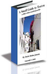 A Small Guide to Torrox cover