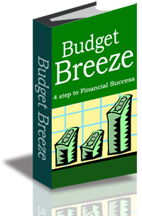 Budget Breeze cover