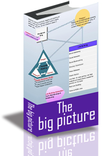 The Big Picture of Internet success cover