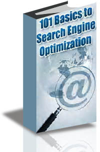 101 Basics to Search Engine Optimization cover