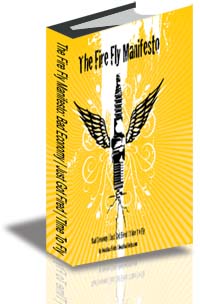The Fire Fly Manifesto: Bad Economy | Just Got Fired | TIme To Fly cover