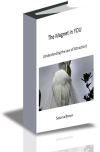 The Magnet in You! cover
