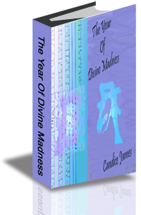 The Year of Divine Madness cover