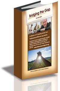 Bridging the Gap cover