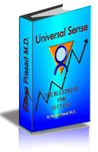 Universal Sense: The Blueprint for Success cover