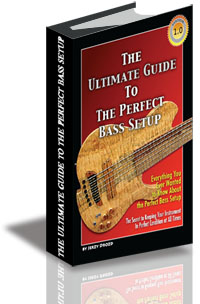 The Ultimate Guide To The Perfect Bass Setup cover