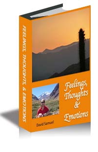 Feelings, Thoughts, & Emotions cover