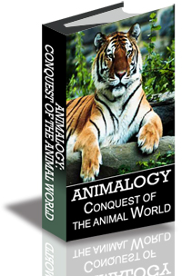 Animalogy: Conquest of the Animal World cover