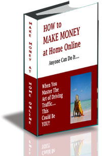 How to Make Money at Home Online cover