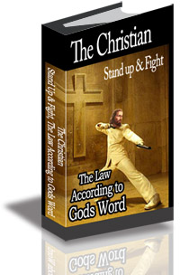 The Christian Stand Up & Fight, The Law According to Gods Word cover