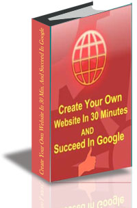 Create Your Own Website In 30 Minutes and Succeed In Google cover