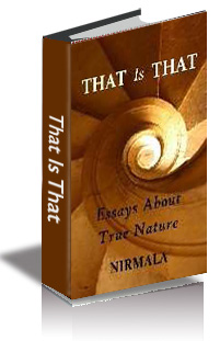 That Is That: Essays About True Nature cover
