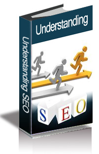 Understanding SEO cover