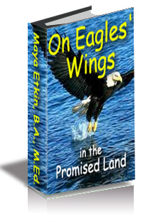 On Eagles' Wings - in the Promised Land - cover